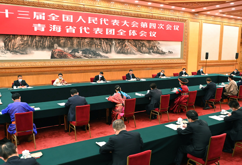 3月7日，中共中央總書(shū)記、國(guó)家主席、中央軍委主席習(xí)近平參加十三屆全國(guó)人大四次會(huì)議青海代表團(tuán)的審議。新華社記者 李濤 攝